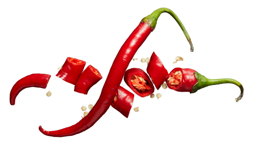 logo spicy social media tamarindo